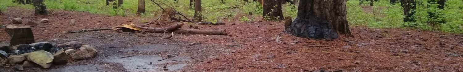 picture of a campsite in the Old North State